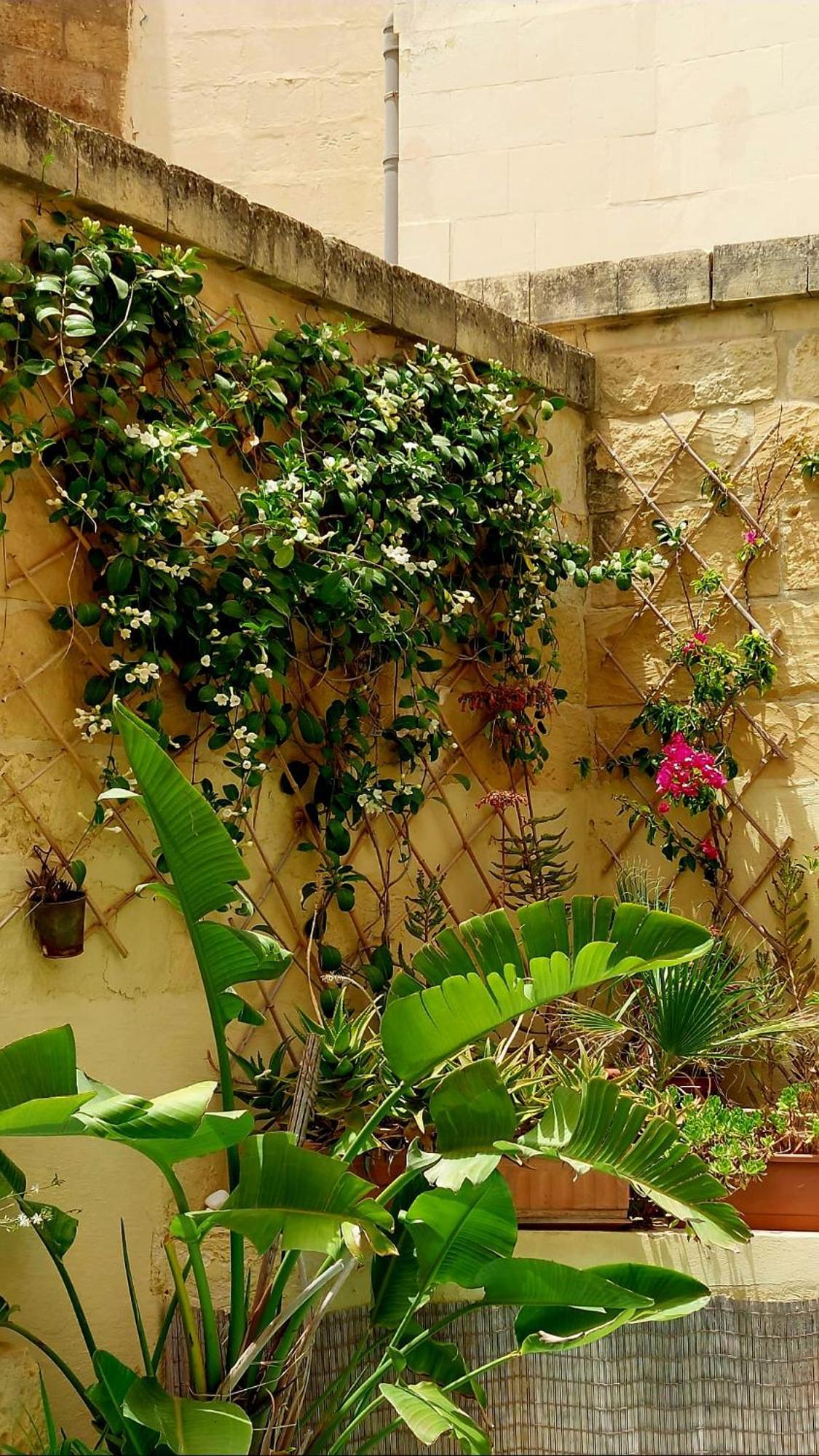 Ta' Didi B&B Kerċem Dış mekan fotoğraf