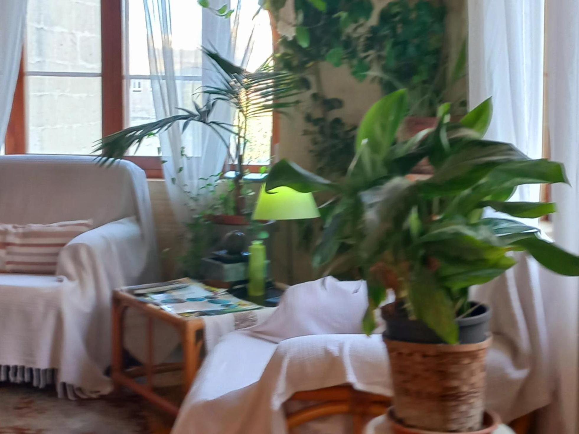 Ta' Didi B&B Kerċem Dış mekan fotoğraf