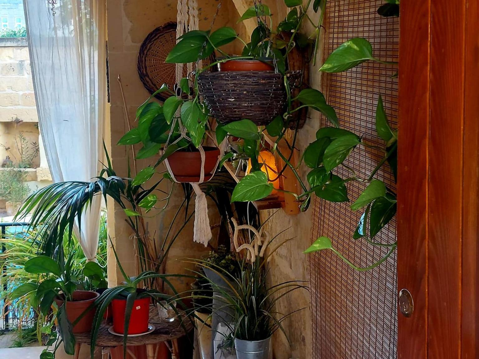Ta' Didi B&B Kerċem Dış mekan fotoğraf